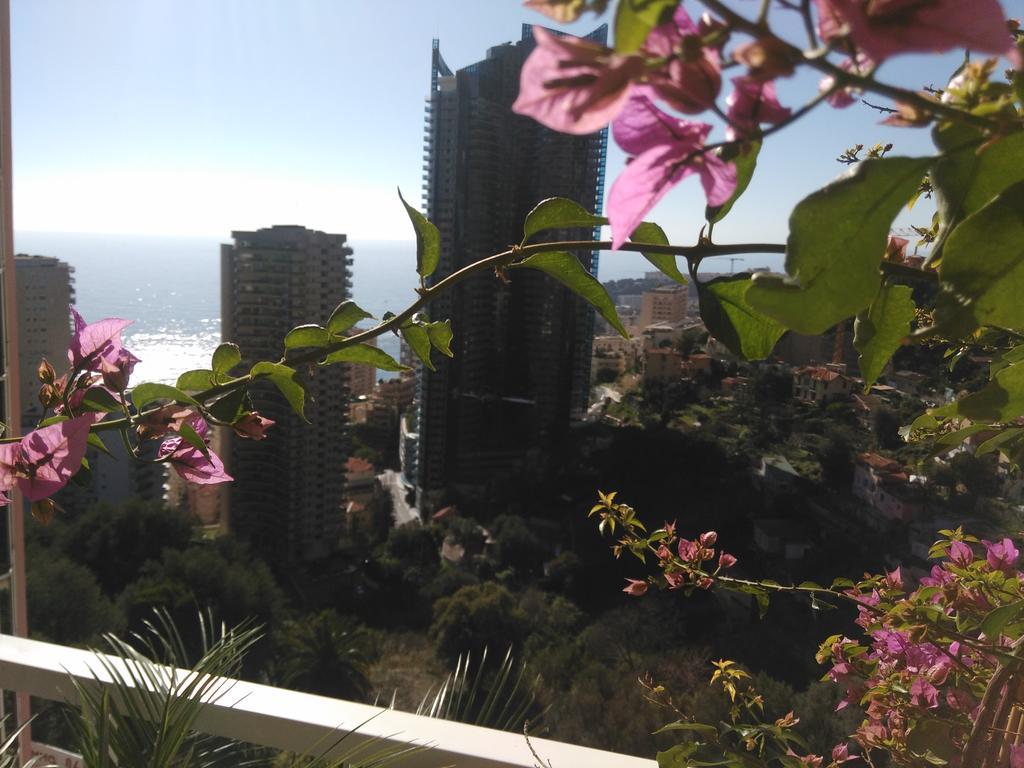 Monaco Pool Sea View Apartments ボーソレイユ エクステリア 写真